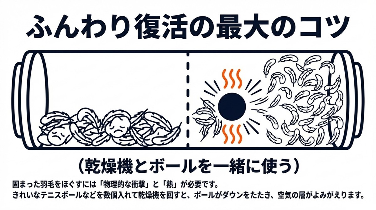 ぺったんこダウンをふんわり復活させる裏技 ふんわり復活の最大のコツ 乾燥機とボールを一緒に使う