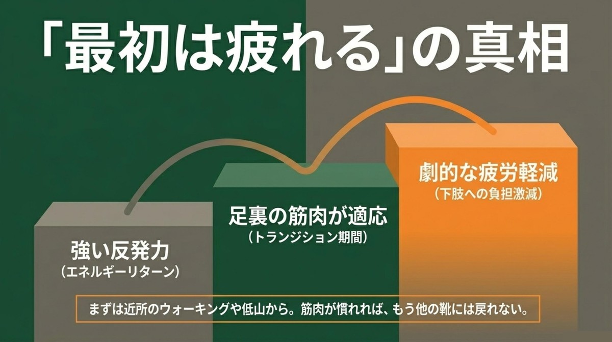 「最初は疲れる」の真相 劇的な疲労軽減と足裏の筋肉が適応するトランジション期間