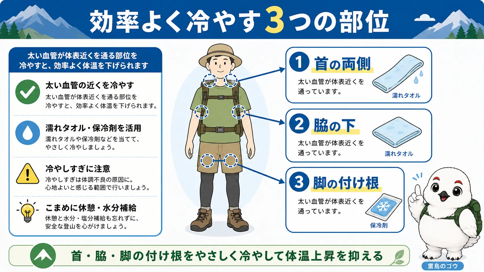 登山者の体で効果的に冷やせる首の両側・脇の下・脚の付け根という3つの部位を矢印とラベルで示した図