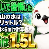 登山に必要な水の量を計算式と結論の1.5Lで示すイメージ