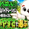 登山用ハイドレーションはどれを選べばいいかと問いかけ、日帰り〜小屋泊は2L・洗いやすさで選ぶと結論づけた解説ビジュアル