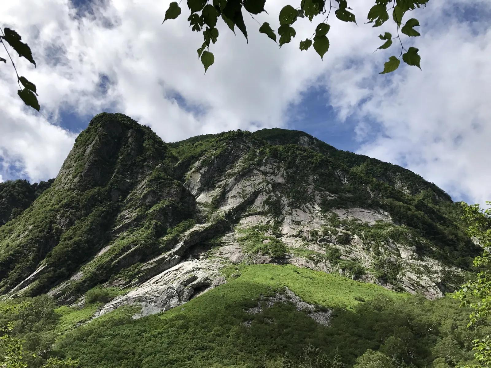 緑の山肌越しに屏風岩方面の岩峰を見上げる登山道の風景