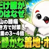 下山で膝が痛い理由と、小股・静かな着地・ポールで負担を減らす対策