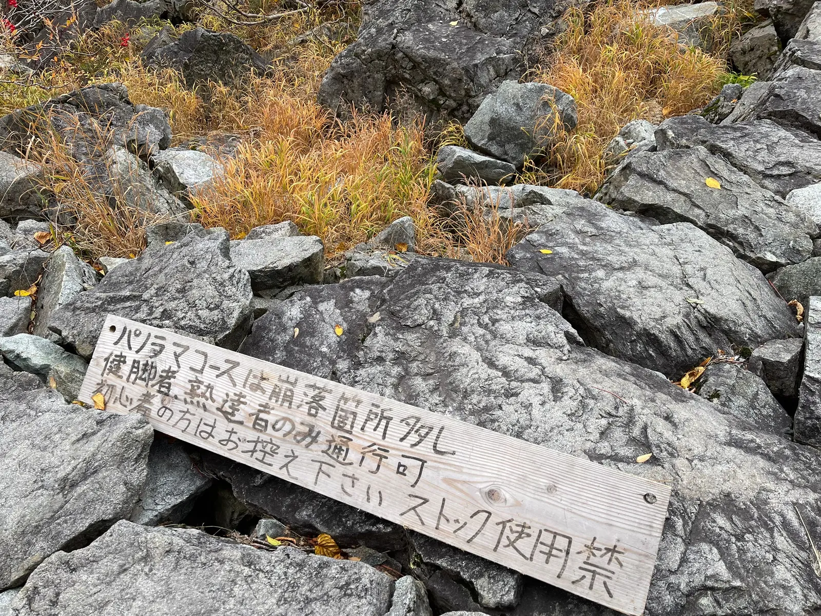 パノラマコースの分岐に立つ手書きの木の看板。「パノラマコースは崩落箇所アリ 健脚者・熟達者のみ通行可 初心者の方はお控え下さい ストック使用禁」と書かれている