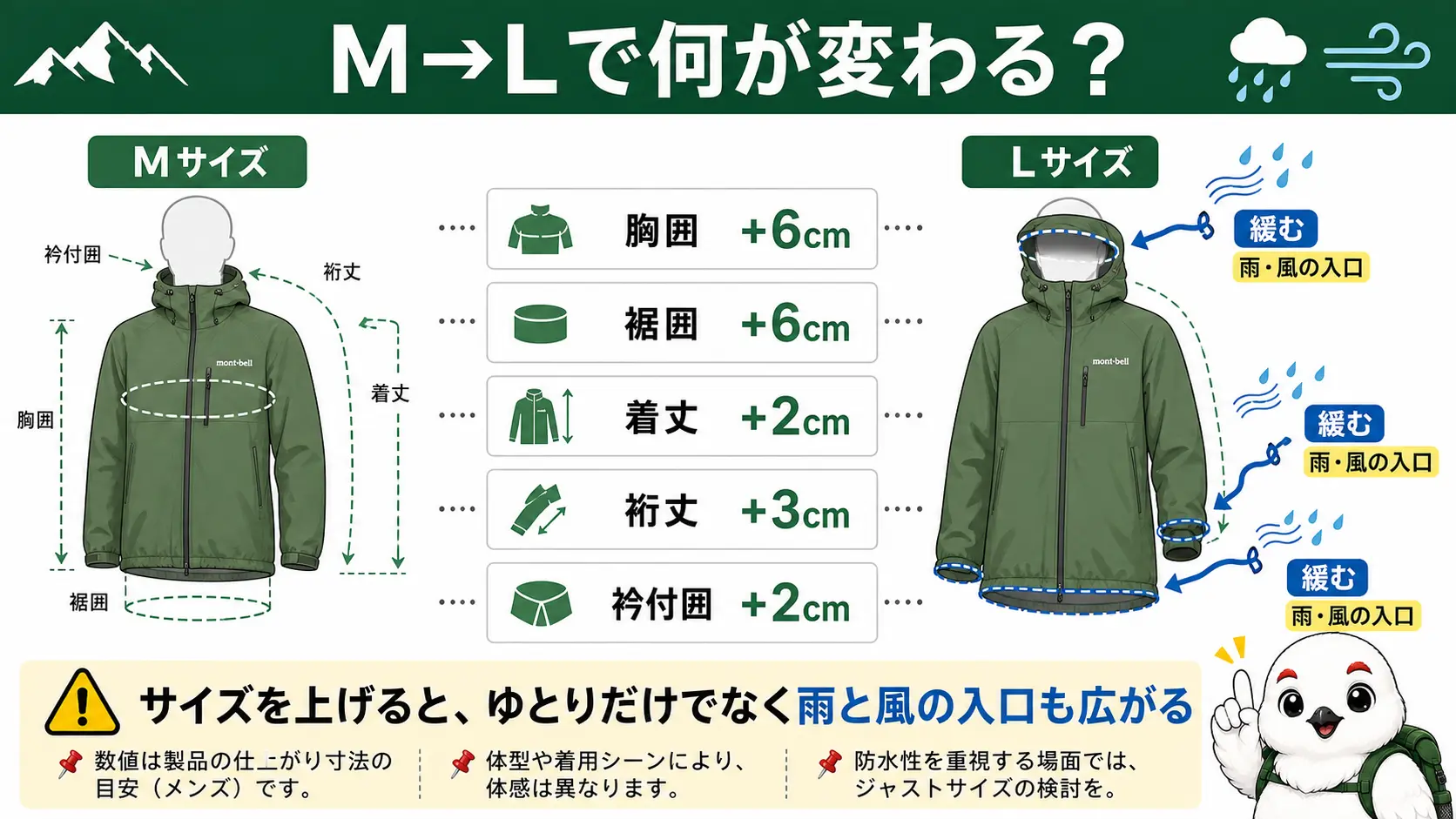 ストームクルーザージャケットをメンズMからLへ1サイズ上げたときの変化を示す図。胸囲は6cm、裾囲は6cm、着丈は2cm、裄丈は3cm、衿付囲は2cm増え、袖口・フード・裾の3か所が緩む位置を人型シルエットに矢印で示している