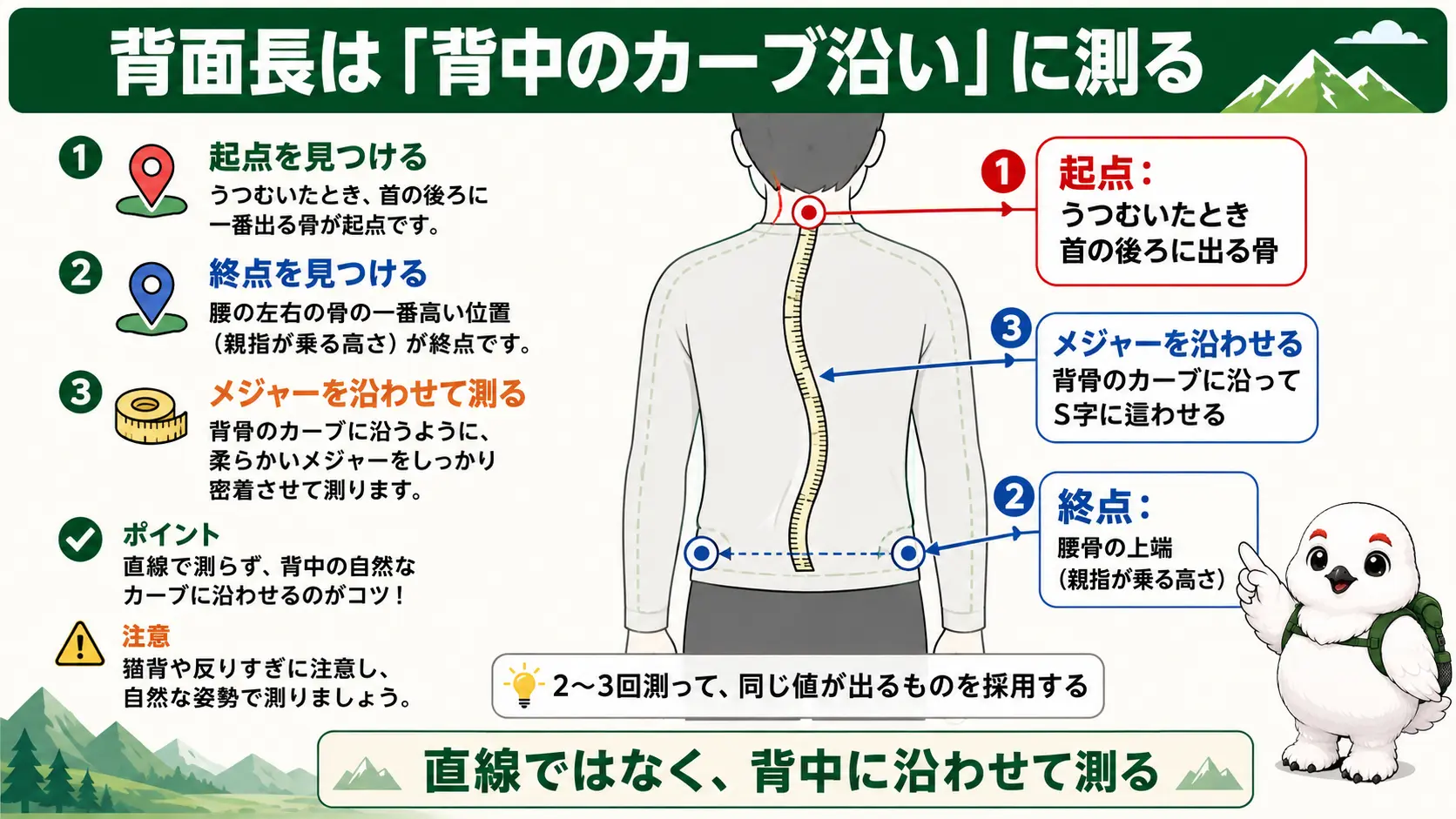 背中の第七頸椎から腰骨の上端まで、背骨のカーブに沿わせて巻き尺で背面長を測る位置関係