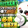 登山でインナーグローブが必要かどうかを気温・風・待ち時間から見極めるイメージ