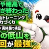 登山のトレーニングと体力づくりは低山登山を優先すべきという結論