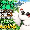 登山にタイツは必要かを問いかけ、半ズボンにスポーツタイツを合わせて槍ヶ岳を歩いた体験を紹介する構成