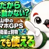 山道でスマホの地図に現在地が表示されている、電波アンテナには×マーク