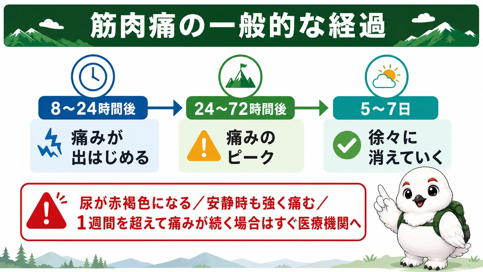 筋肉痛が出始める8〜24時間後からピークの24〜72時間後、5〜7日で消えるまでの経過と、尿の変色など受診が必要なサインを示した図解