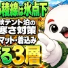 秋のテント泊の寒さ対策をシュラフ・マット・着込みの3層で整理した見出し画像