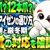 アイゼンの10本爪と12本爪の選び方。残雪期と厳冬期の違いと、まず登山靴の対応を確認する