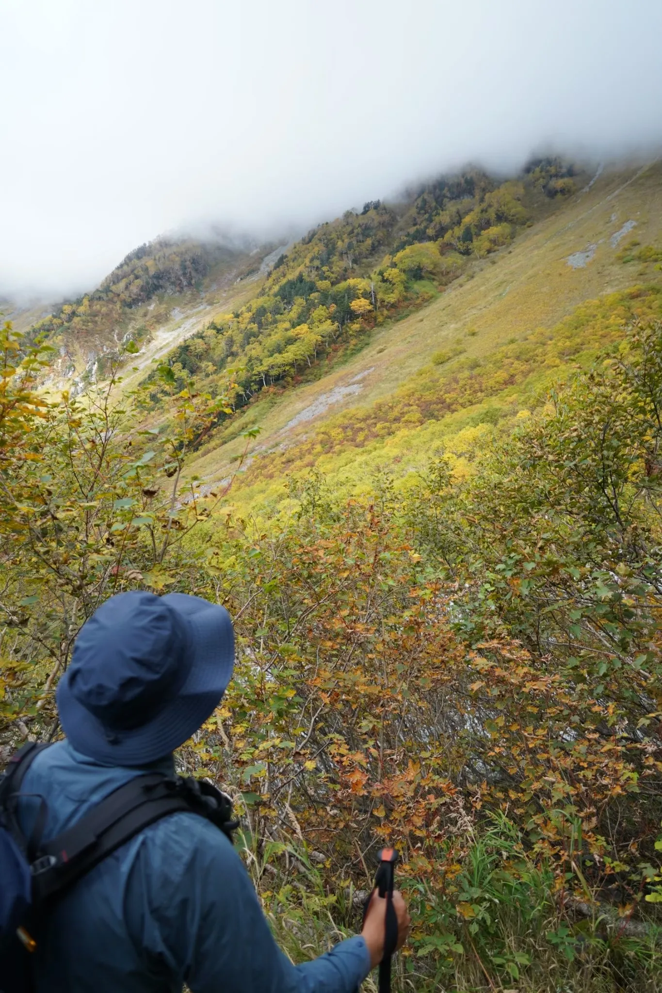 フード付きの青いレインウェアを着てストックを持ち、紅葉の斜面を歩く登山者の後ろ姿