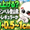 モンベル登山靴のサイズ感は普段より0.5〜1cm大きめが起点、ワイドかレギュラーかの選び方