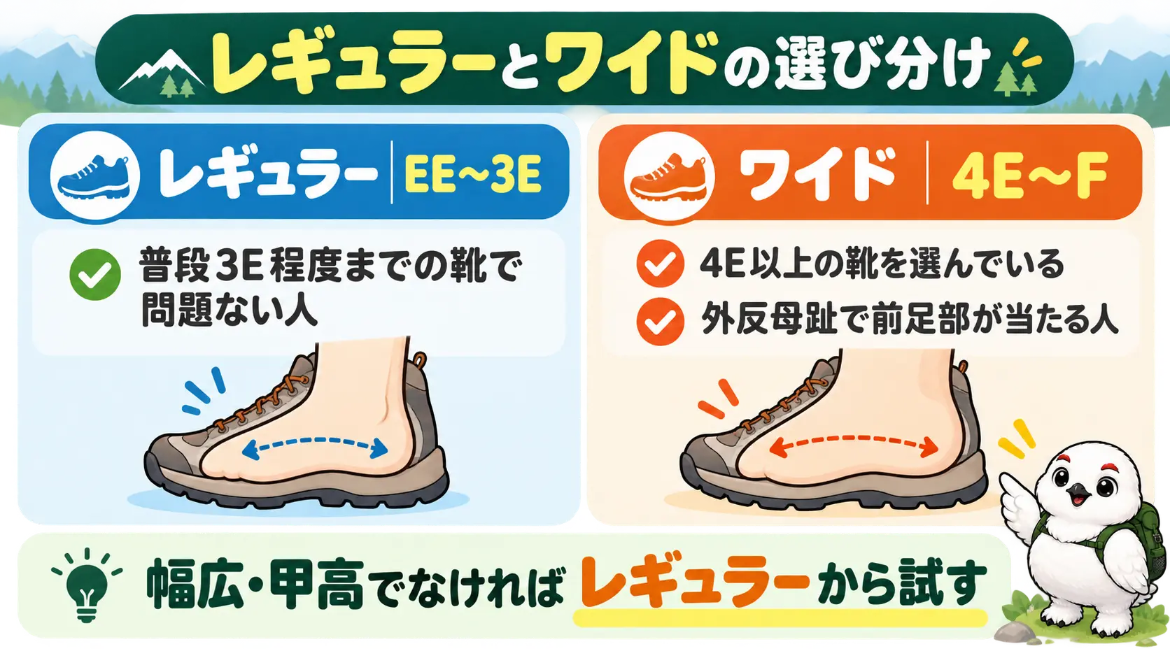 レギュラーとワイドの選び分けを、ワイズの範囲と向く人の目安で比べた図