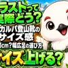 スカルパ登山靴のサイズ感を細身ラストと半サイズ上げの判断から解説