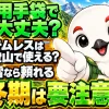 テムレスは雨や湿雪の登山では頼れるが、厳冬期の稜線には注意が必要という結論