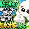 濡れたテントの撤収と乾かし方。別袋で持ち帰り、帰宅当日に干してカビと加水分解を防ぐ